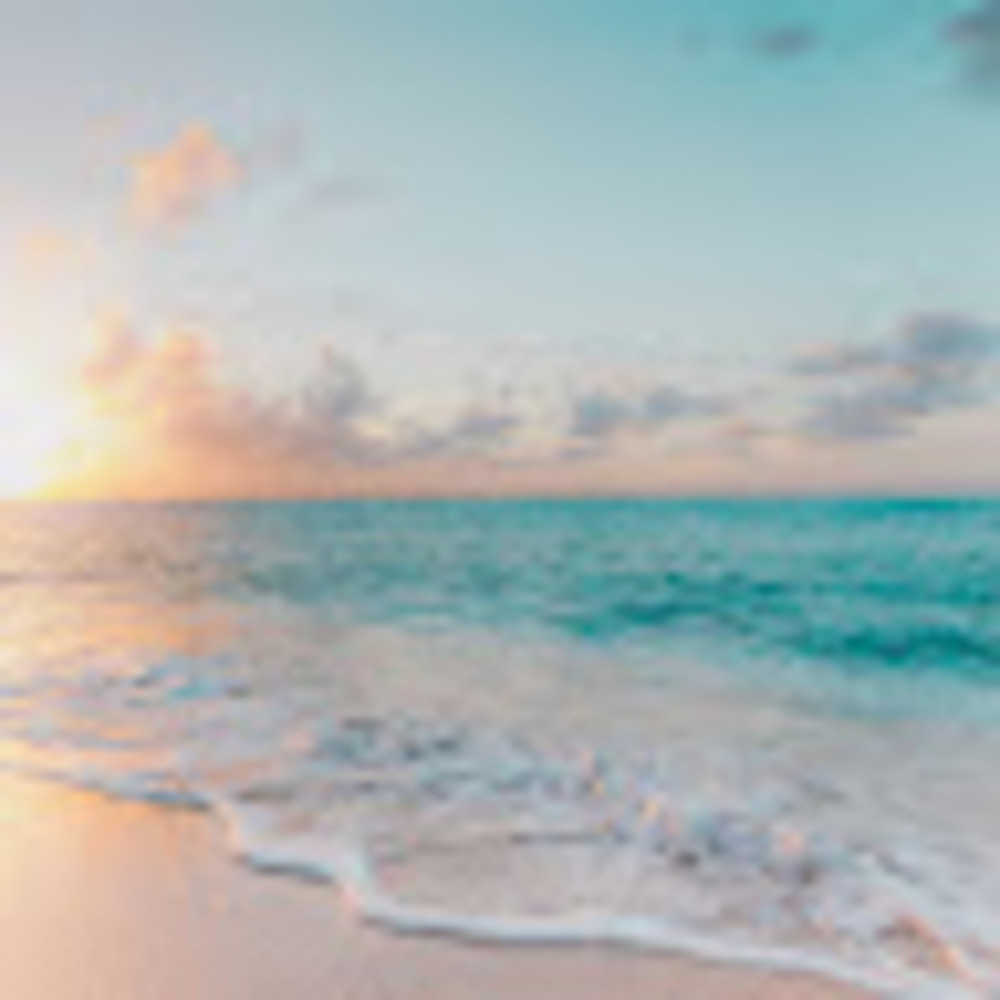 Meet your Posher, Laela